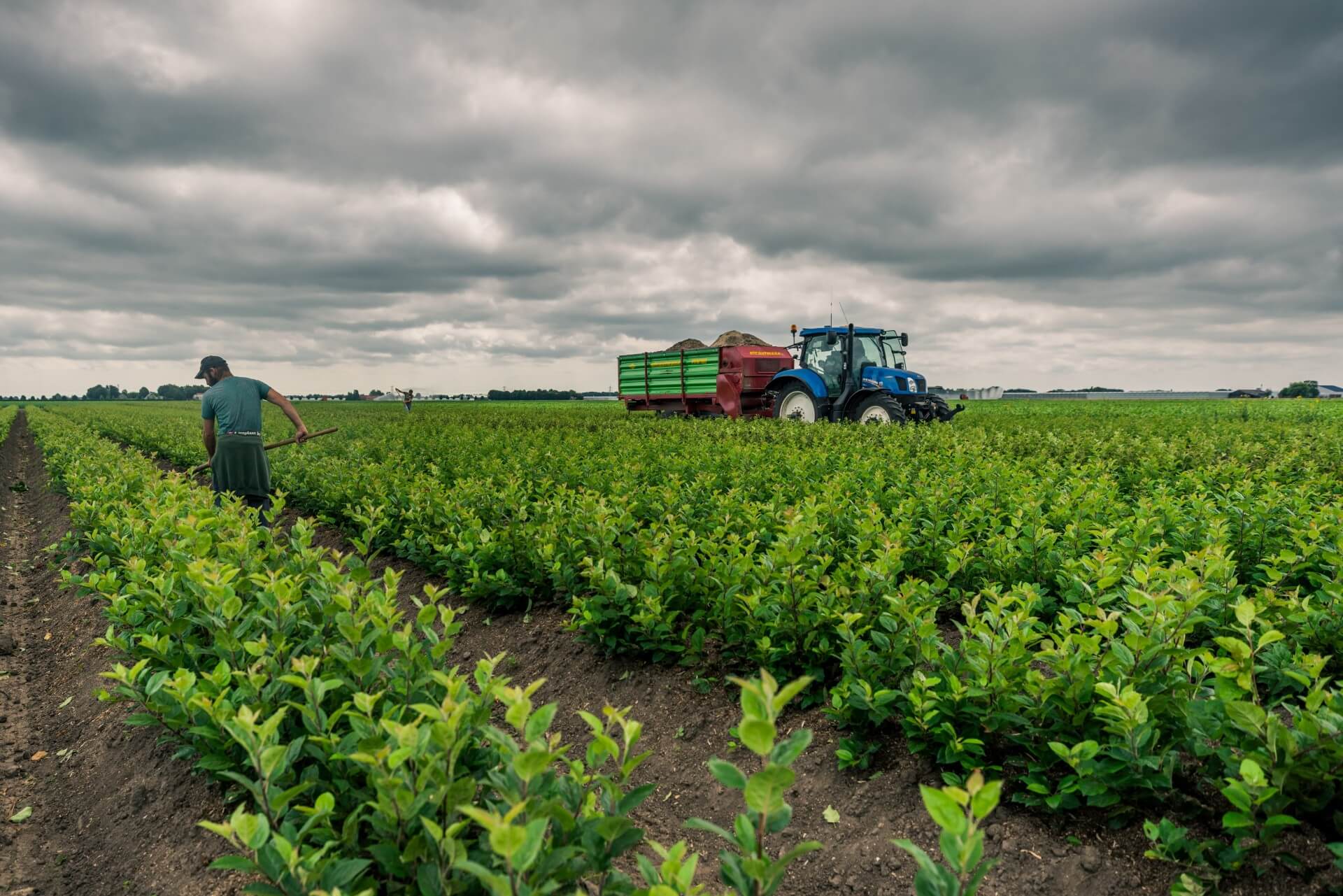 _DSC6253_bijgesneden (Custom) (1)